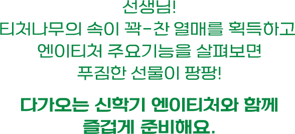 선생님! 티처나무의 속이 꽉-찬 열매를 획득하고 엔이티처 주요기능을 살펴보면 푸짐한 선물이 팡팡! 다가오는 신학기 엔이티처와 함께 즐겁게 준비해요